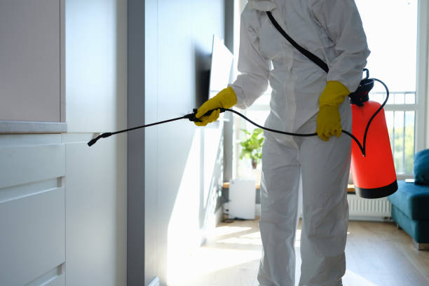 Trusted Unionville, NC Mold Remediation Experts